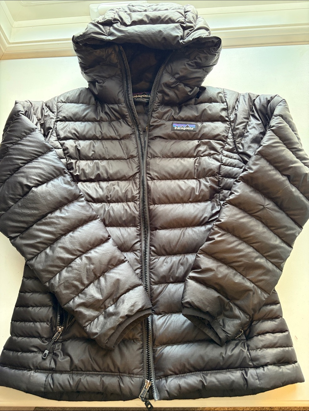 Patagonia Black Quilted Hooded Puffer Jacket